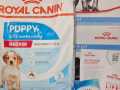 Free-Royal-Canin-Dog-Food-Sample-Box-1