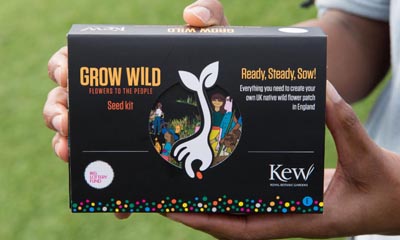 Free Grow Wild Wildflower Seeds