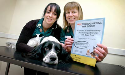 Free Microchipping for Dogs