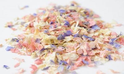 Free Flower Confetti