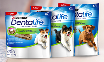 Free Purina Dog Dental Chews