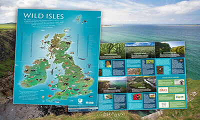 Free BBC Wild Isles Poster