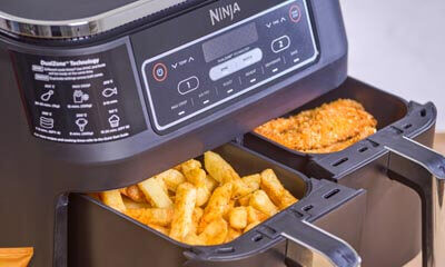 Free Ninja Foodi Dual Zone Air Fryer