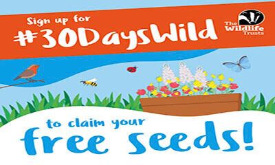 Free Wildflower Seeds