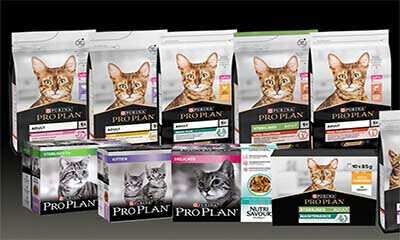 Free purina hot sale cat food