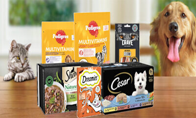 Free Pedigree Dog Food & More