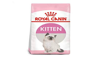 Free Royal Canin Kitten Food