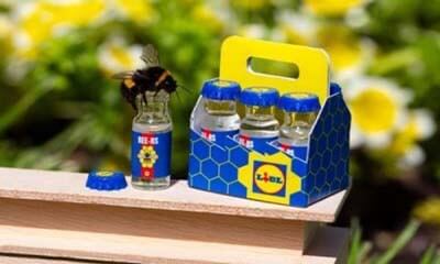 Free Bee Food from Lidl