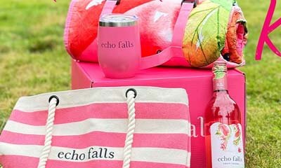 Free Echo Falls Pink Picnic Kits