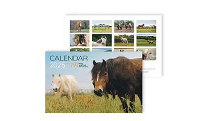 Free 2025 Wall Calendar