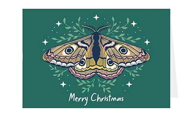 Free Butterfly Christmas Card  (Worth £4)