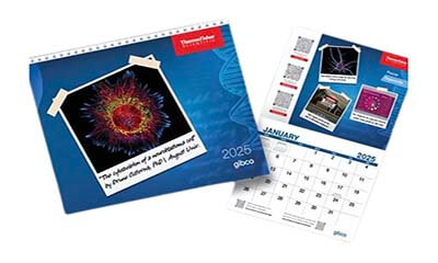 Free 2025 Wall Calendar