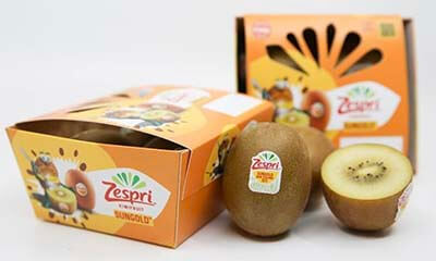 Free Zespri Kiwi Samples