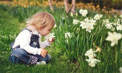 Free Flower Workshop for Kids at Dobbies